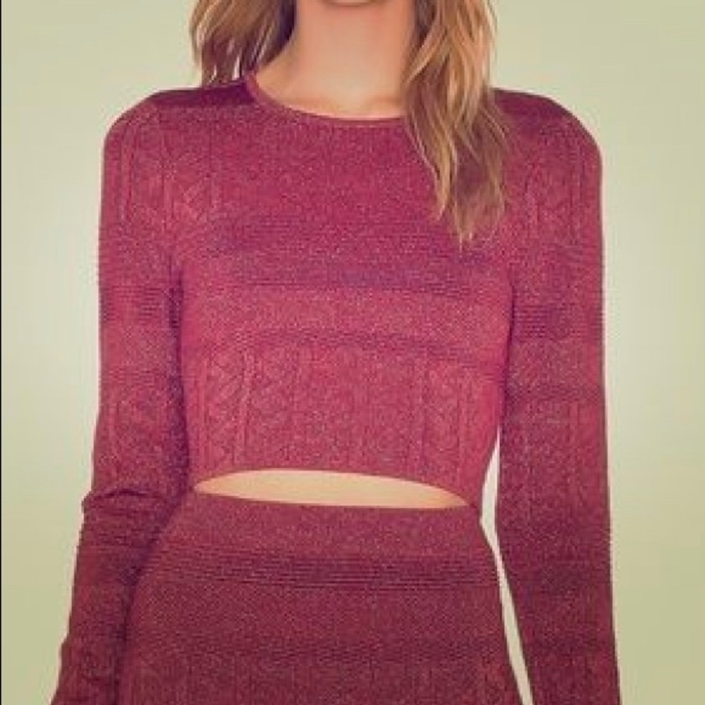 Ronny Kobo metallic knit crop top